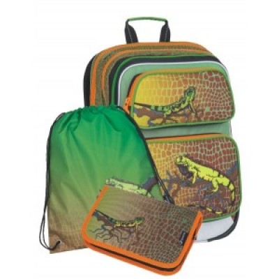 BAGMASTER Ученическа Анатомична раница GALAXY 7E, Комплект 3 в 1, 7254-1, за момче, многоцветен 7254-1 BAGMASTER Ученическа Анатомична раница GALAXY 7E, Комплект 3 в 1, 7254-1, за момче, многоцветен 7254-1