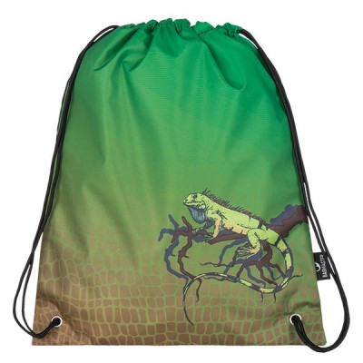 BAGMASTER Ученическа Анатомична раница GALAXY 7E, Комплект 3 в 1, 7254-1, за момче, многоцветен 7254-1 BAGMASTER Ученическа Анатомична раница GALAXY 7E, Комплект 3 в 1, 7254-1, за момче, многоцветен 7254-1