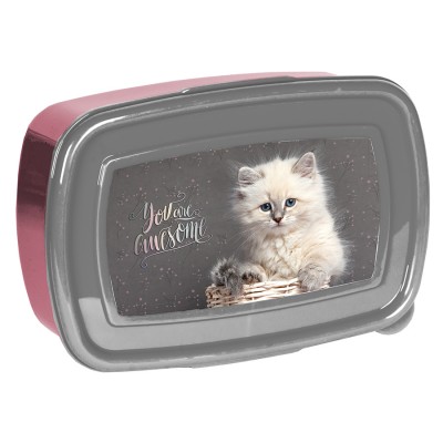Paso Кутия за храна CAT, коте PP24AW-3022, 750мл, за момиче, сиво и розово PP24AW-3022