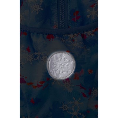 CoolPack Ученическа раница Joy S Frozen Dark, L B48306, момиче, синя, многоцветна L B48306 CoolPack Ученическа раница Joy S Frozen Dark, L B48306, момиче, синя, многоцветна L B48306