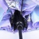 Чадър Cerda FROZEN II сгъваем, R 8445484136265, момиче, лилаво и синьо 240000558 Чадър Cerda FROZEN II сгъваем, R 8445484136265, момиче, лилаво и синьо 240000558