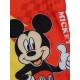 Disney Детски бански костюм боксерки, MICKEY, 9185926, момче, многоцвете 9185926 Disney Детски бански костюм боксерки, MICKEY, 9185926, момче, многоцвете 9185926